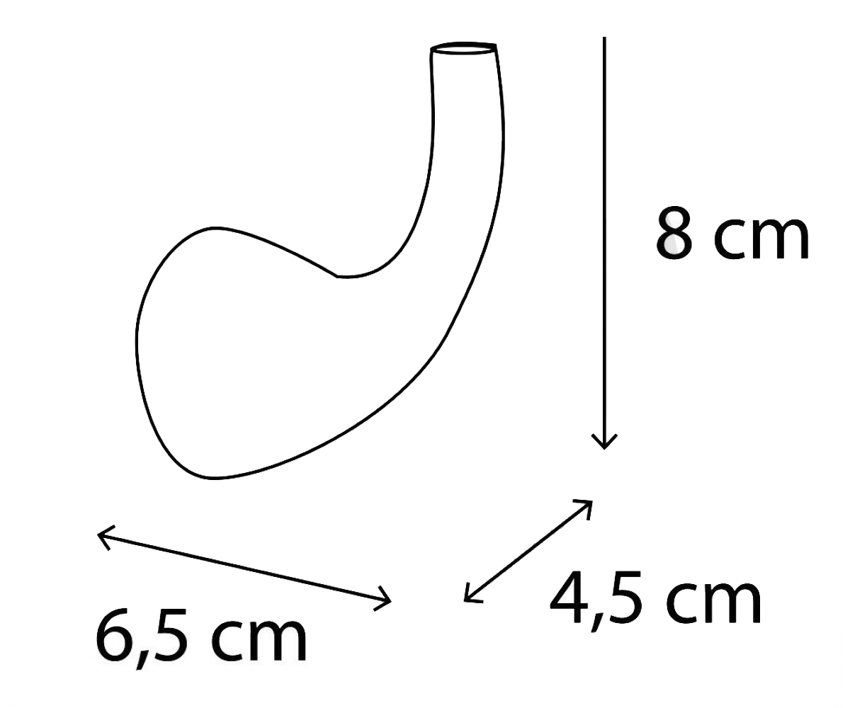 Одинарный крючок  DROP ACBDRP010000CRM:Чертеж 