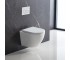 DFL0460111W Flow Унітаз підвісний 495*365*365mm з кришкою soft-close, Vortex Flush, білий глянець (1 сорт) DEVIT  DFL0460111W DFL0460111W