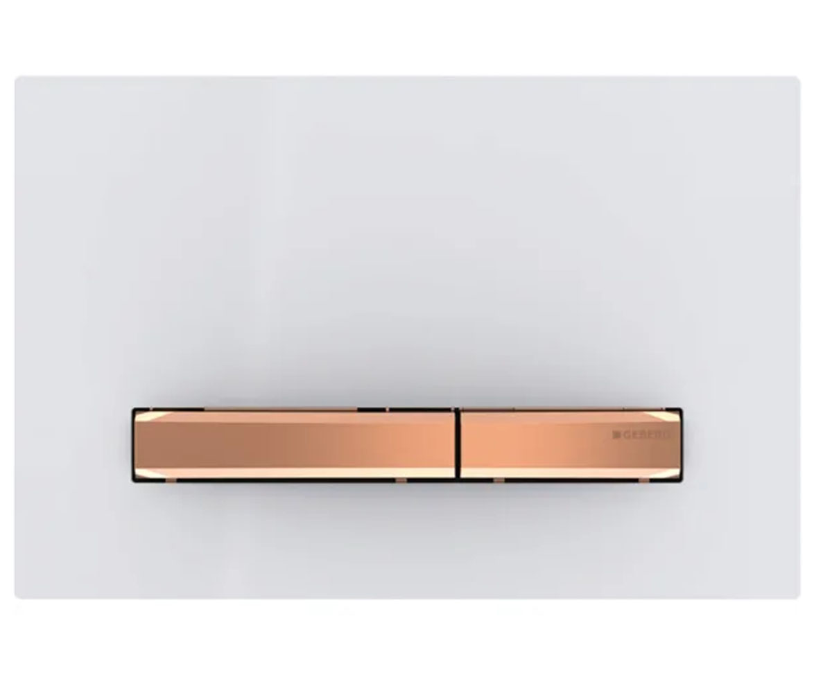 Подвійна клавіша GEBERIT SIGMA 50 115.670.11.2 115.670.11.2