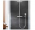Душевой шланг 1,25 м  SILVERFLEX LONGLIFE 26335000:Фото 2