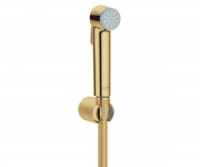 Гігієнічний душ GROHE TEMPESTA 27513GL1