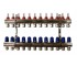 Колектор в зборі 1x3/4 12 виходів GROSS  1F34F12 1F34F12