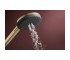 RAINDANCE ALIVE SELECT S ручний душ (3 типи струменів RainAir, PowderRain, Massage), шліфованна бронза  24500140:Фото 2