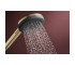 RAINDANCE ALIVE SELECT S ручний душ (3 типи струменів RainAir, PowderRain, Massage), шліфованна бронза  24500140:Фото 3