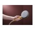RAINDANCE ALIVE SELECT S ручний душ (3 типи струменів RainAir, PowderRain, Massage), шліфованна бронза  24500140:Фото 4