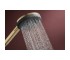 RAINDANCE ALIVE SELECT S ручний душ (3 типи струменів RainAir, PowderRain, Massage), шліфованна бронза  24500140:Фото 5