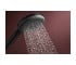 Лейка для ручного душа  RAINDANCE ALIVE SELECT S 24500670:Фото 5