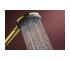 Лейка для ручного душа  RAINDANCE ALIVE SELECT S 24500990:Фото 3