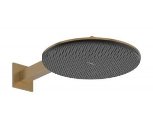 Душевая лейка с кронштейном HANSGROHE RAINDANCE ALIVE S 24540140