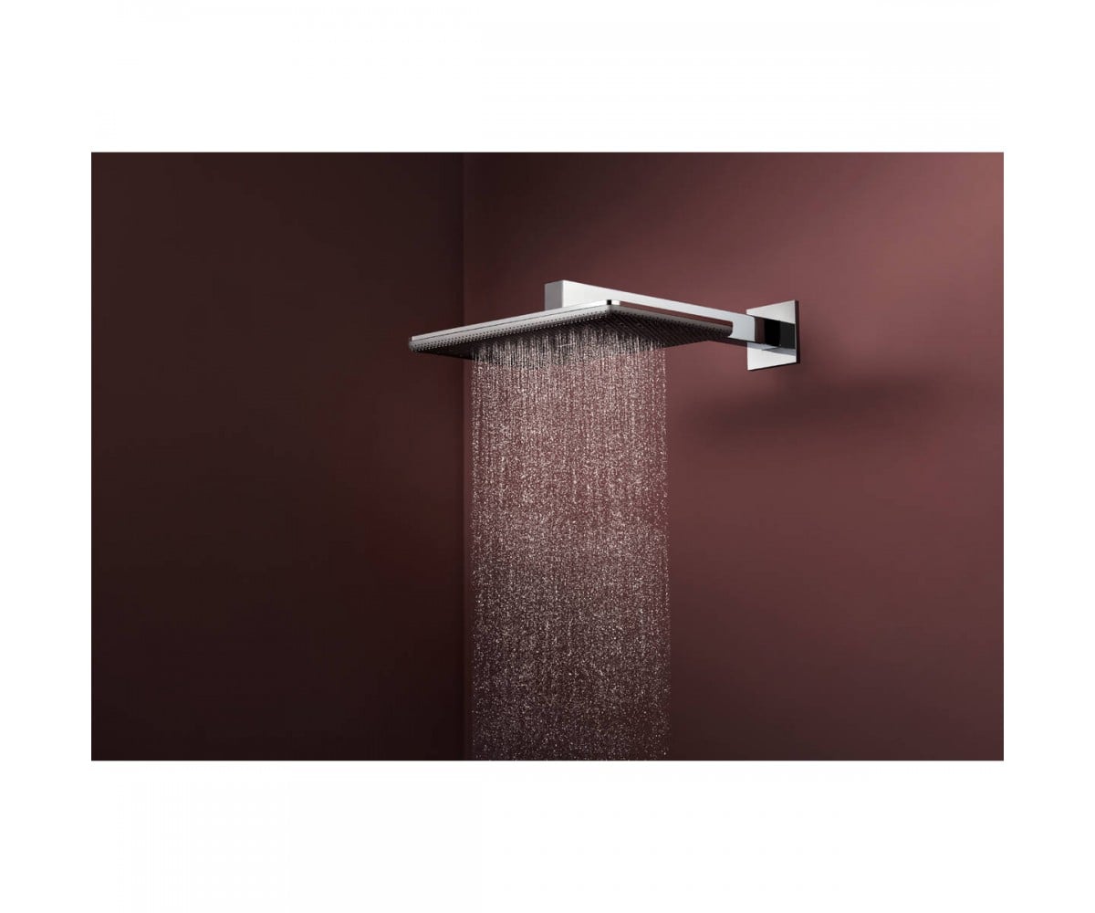 Верхний душ с кронштейном  RAINDANCE ALIVE Q 24550000:Фото 3