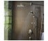 Ручной душ  RAINDANCE POWDERRAIN 26014000:Фото 5