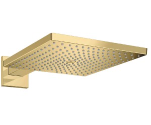 Верхний душ 30х30 см HANSGROHE RAINDANCE E 26238990