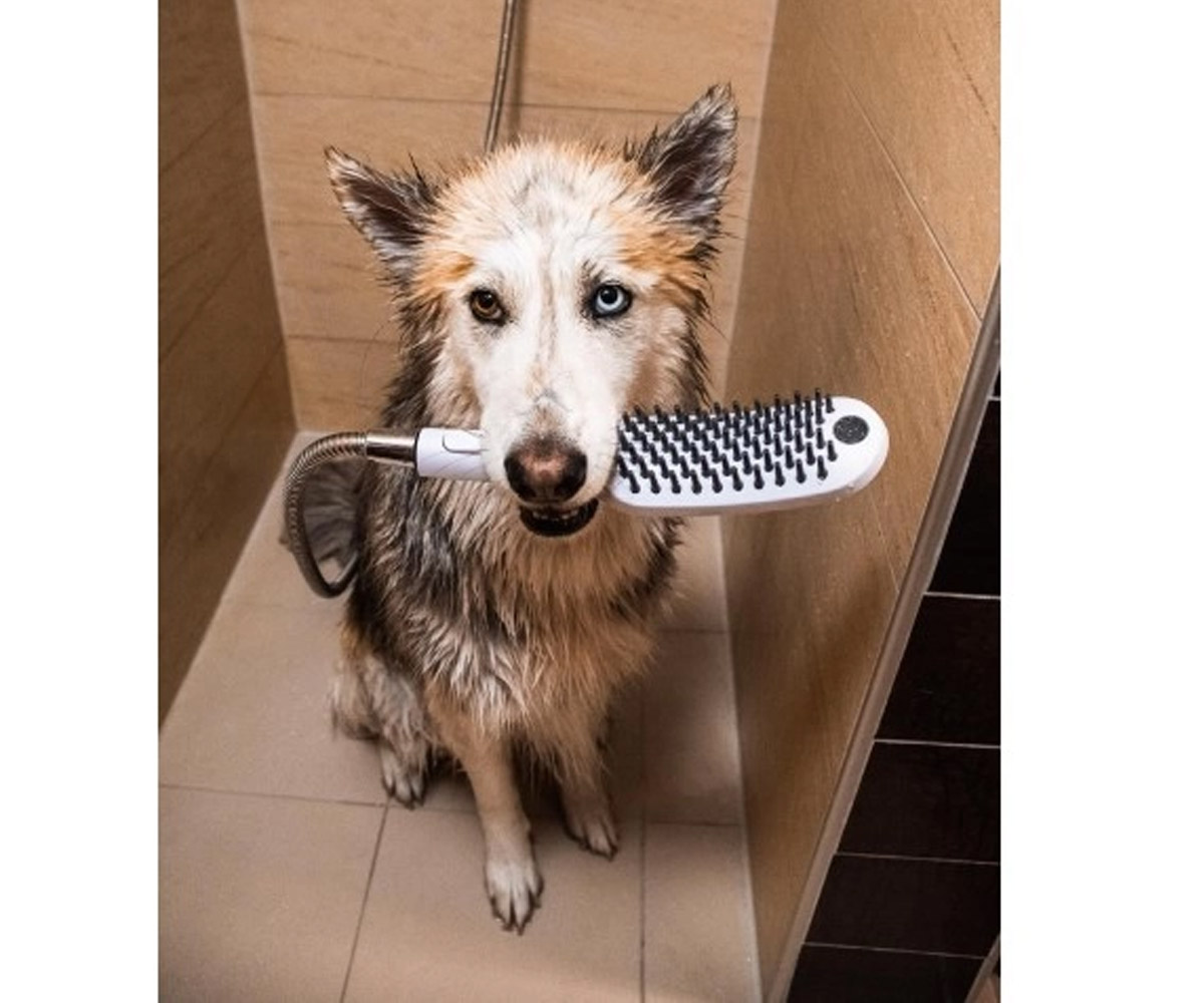 Ручной душ на 3 режима  DOGSHOWER 26640700:Фото 3