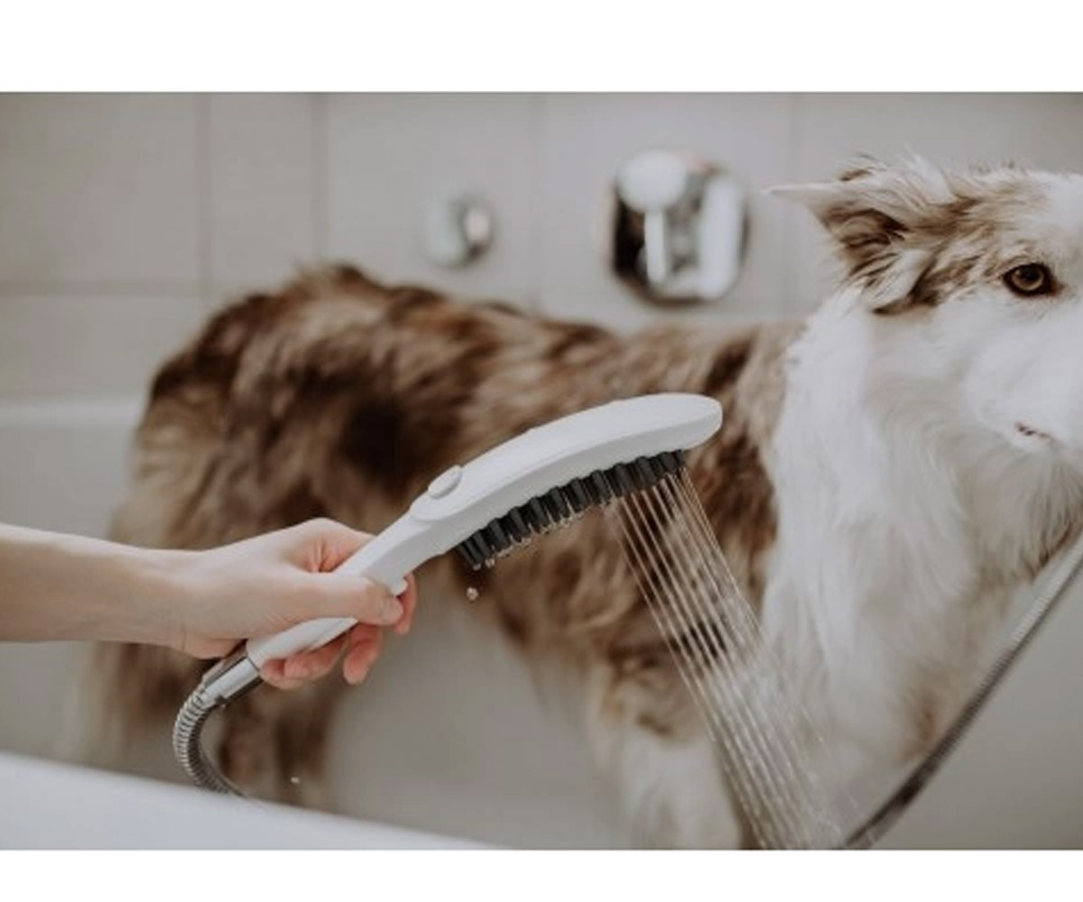 Ручной душ на 3 режима  DOGSHOWER 26640700:Фото 4
