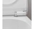 Унитаз подвесной с сиденьем  ELU PURA S 62025450:Фото 10