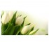 Екран бічній 68 см MIKOLA-M TULIP 4820099520021 4820099520021