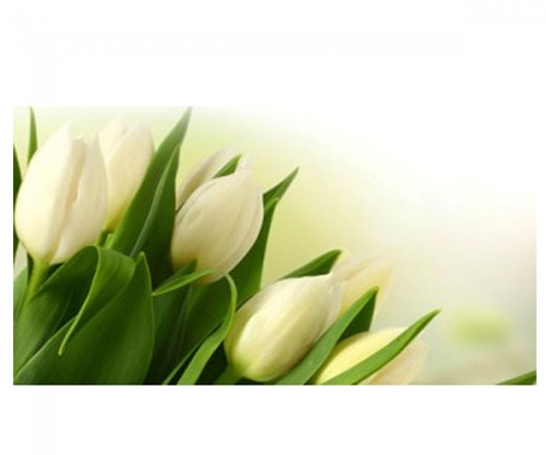 Екран бічній 68 см MIKOLA-M TULIP 4820099520021 4820099520021