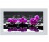 Экран боковой 68 мм MIKOLA-M PINK ORCHID 4820099521356 4820099521356