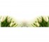 Екран пластиковий 1,8 м MIKOLA-M TULIP 4820099521554 4820099521554
