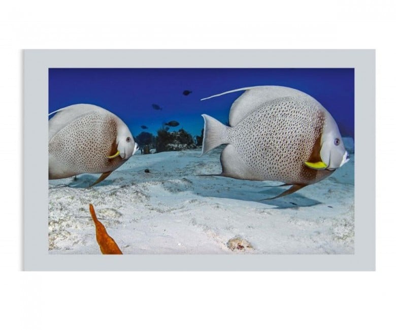 Боковий екран з фотодруком MIKOLA-M OCEAN 4820099536848 4820099536848