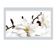 Торцевій екран MIKOLA-M MAGNOLIA 4820099538682