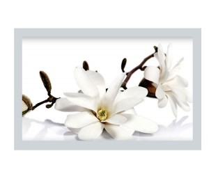 Торцевій екран MIKOLA-M MAGNOLIA 4820099538682