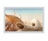 Экран торцевой 67,5х50 см MIKOLA-M SHELL 4820099539320 4820099539320
