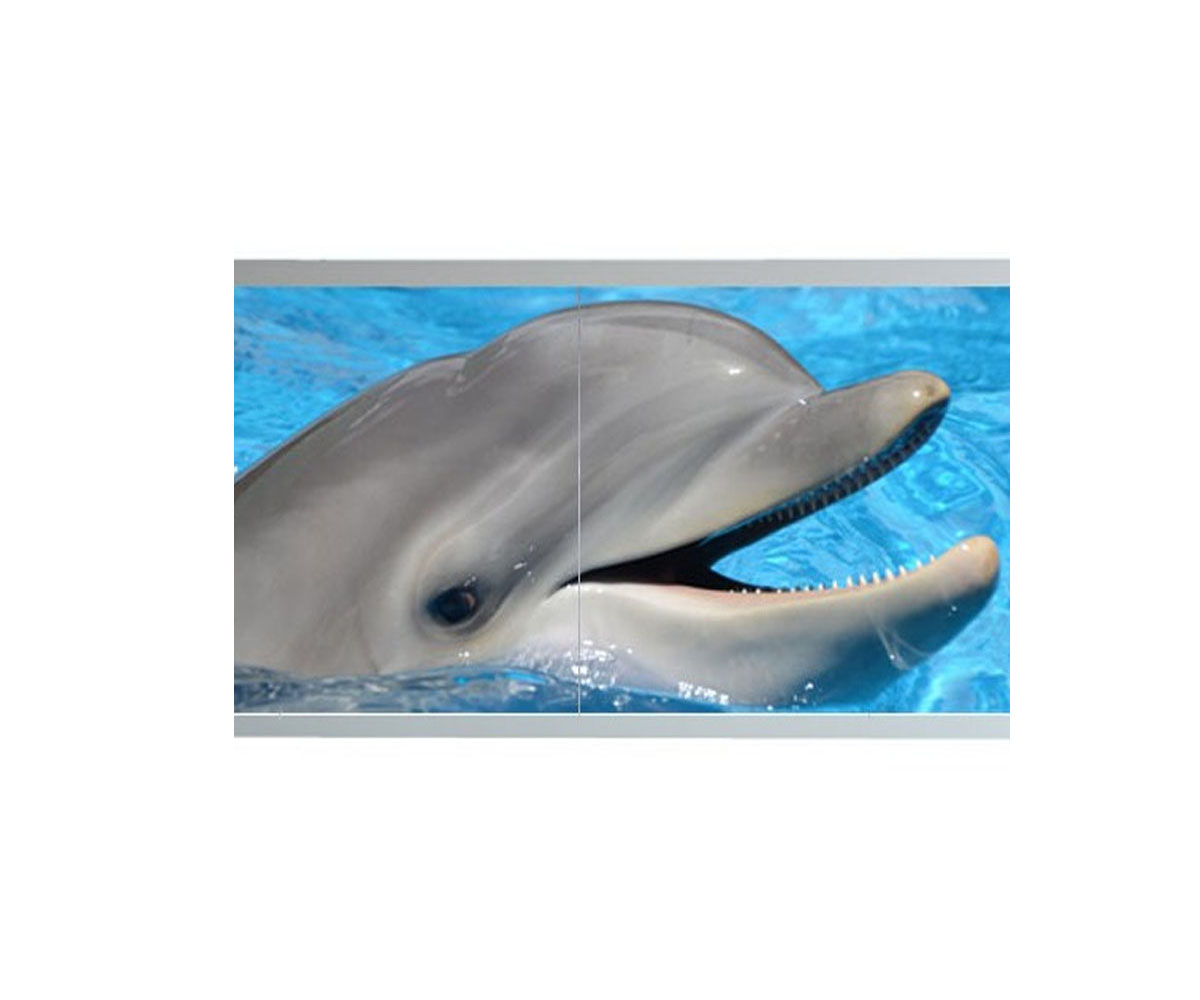Панель бічна 68 см MIKOLA-M DOLPHIN 4820099541866 4820099541866