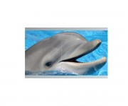 Панель бічна 68 см MIKOLA-M DOLPHIN 4820099541866