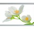 Боковий екран 68 см MIKOLA-M JASMINE 4820099542054 4820099542054