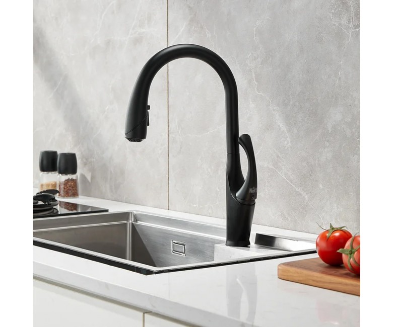 Чорний змішувач для кухні з висувним носиком Nett SBB-435 Swan NETT  033820 033820