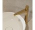 Высокий смеситель для раковины OMNIRES CONTOUR CT8012GLB:Фото 2