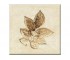 Плитка настенная с декором OPOCZNO  SKWER BEIGE 5 10X10 DECOR SKWER BEIGE 5 10X10 DECOR