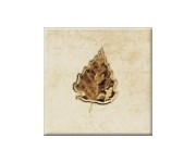 Плитка настінна з декором OPOCZNO  SKWER BEIGE 6 10X10 DECOR