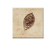 Плитка з декором OPOCZNO  SKWER BEIGE 8 10X10 DECOR