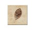 Плитка з декором OPOCZNO  SKWER BEIGE 8 10X10 DECOR SKWER BEIGE 8 10X10 DECOR