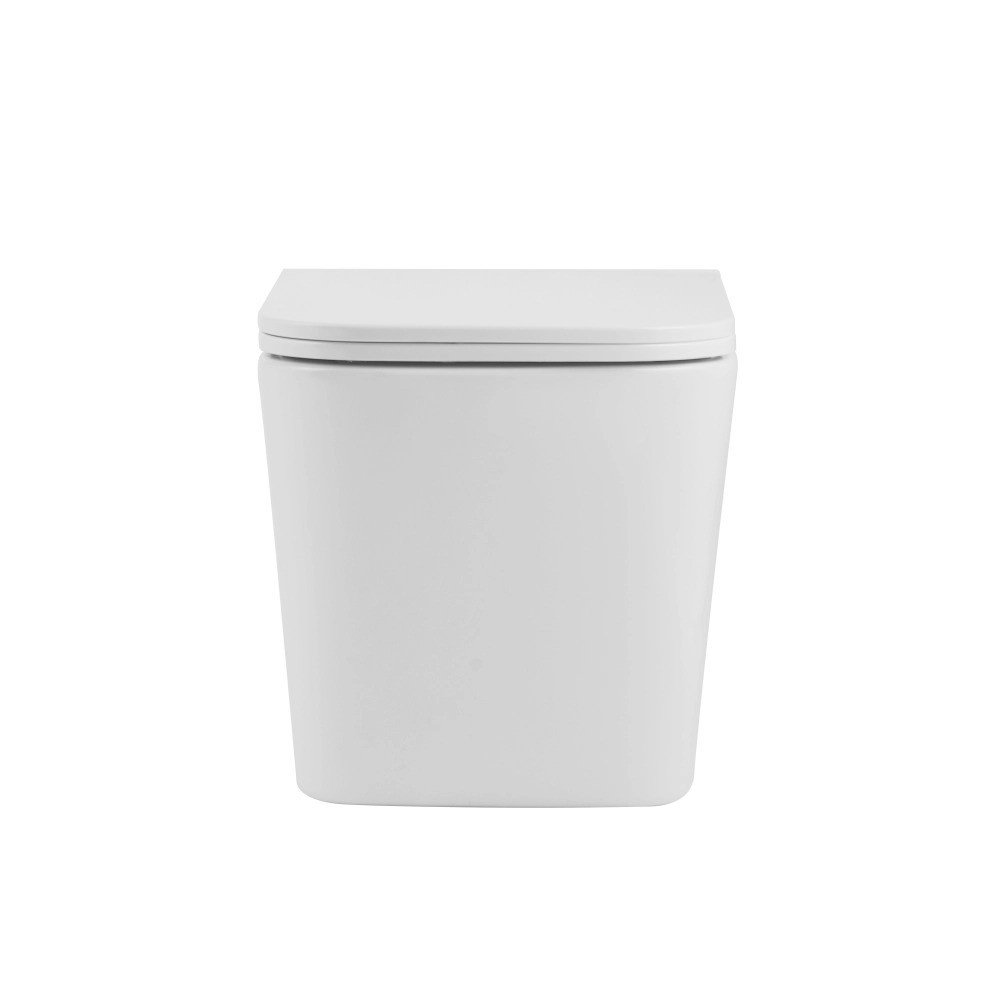 Подвесной унитаз с сиденьем  TERN ULTRA QUIET QT17332303AW:Фото 2
