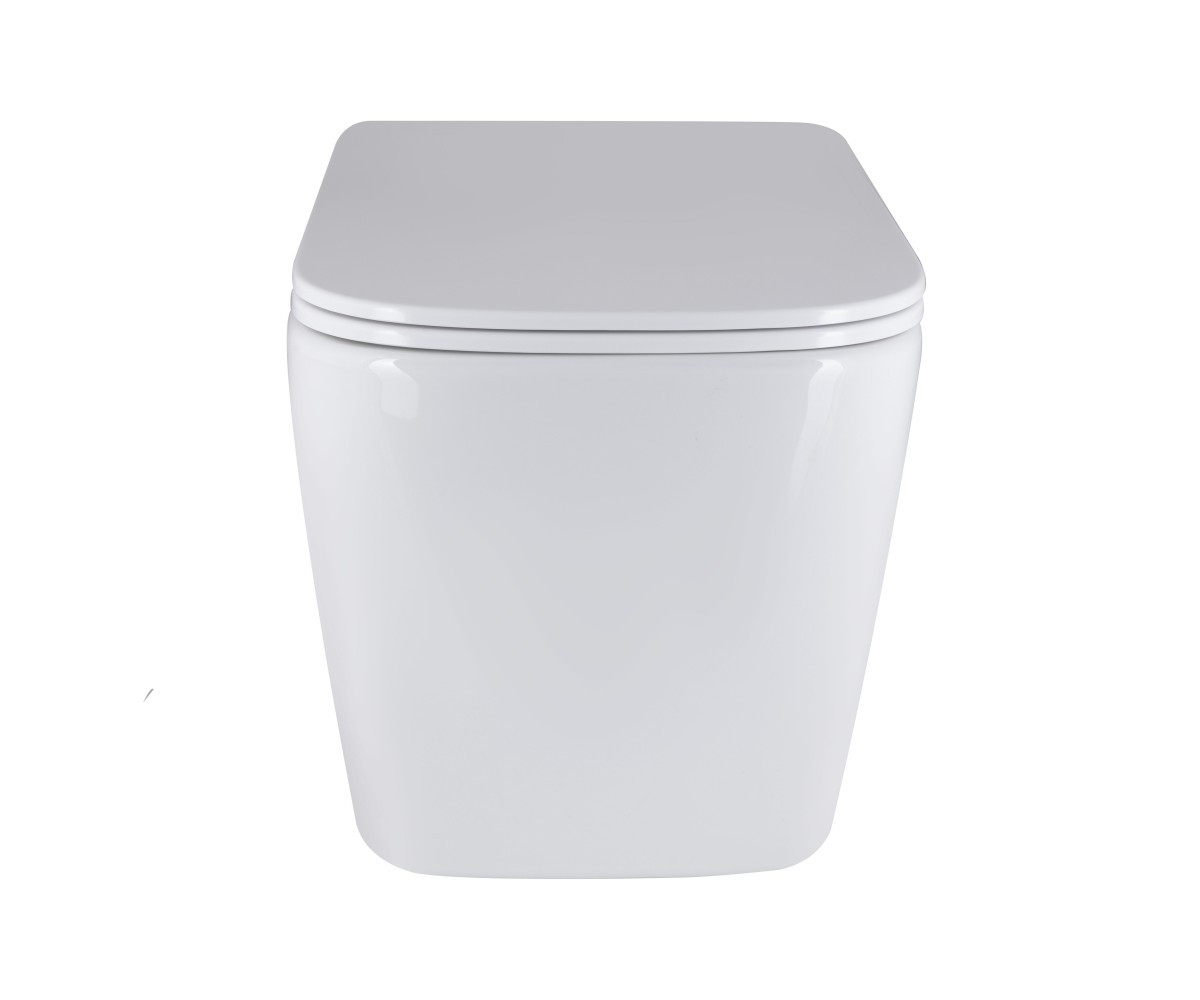 Подвесной унитаз с сиденьем  TERN ULTRA QUIET QT17332303AW:Фото 11