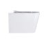 Подвесной унитаз с сиденьем  TERN ULTRA QUIET QT17332303AW:Фото 12