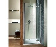 Душові двері 100 см RADAWAY ALMATEA DWJ 31202-01-12N