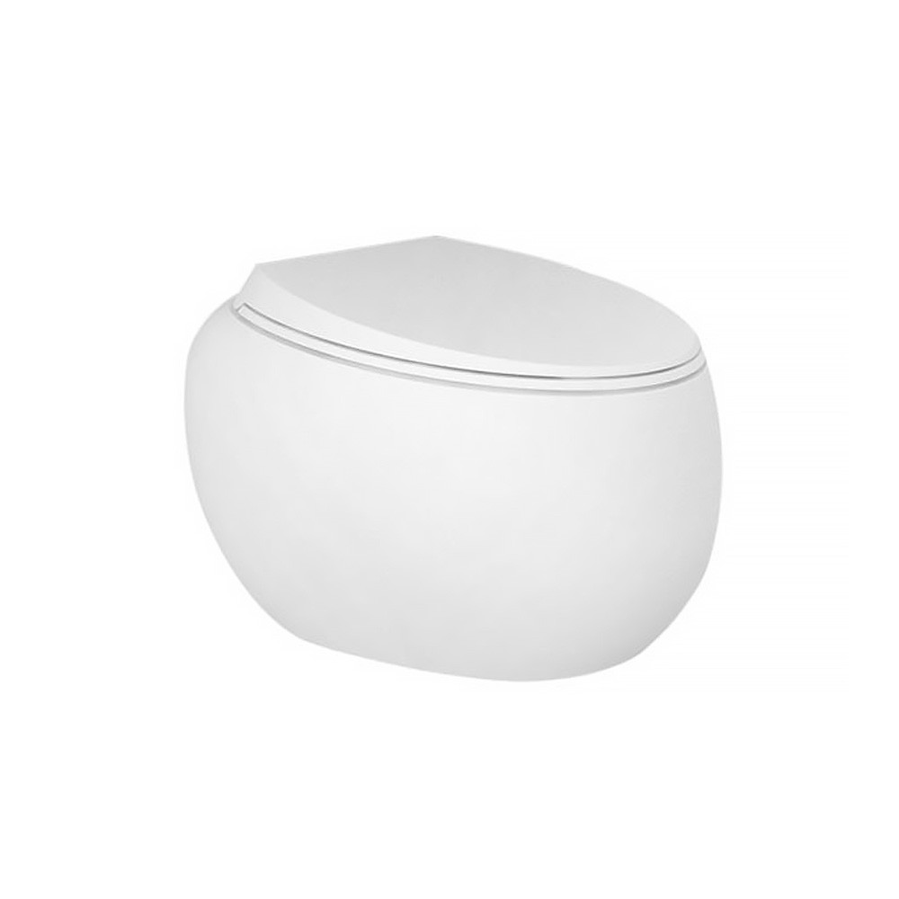 Крышка-сиденье для унитаза  CLOUD CLOSC3901500:Фото 1