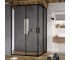 Душевая дверь  BLIX SLIM BLSRV2K X1XM70300Z1:Фото 2