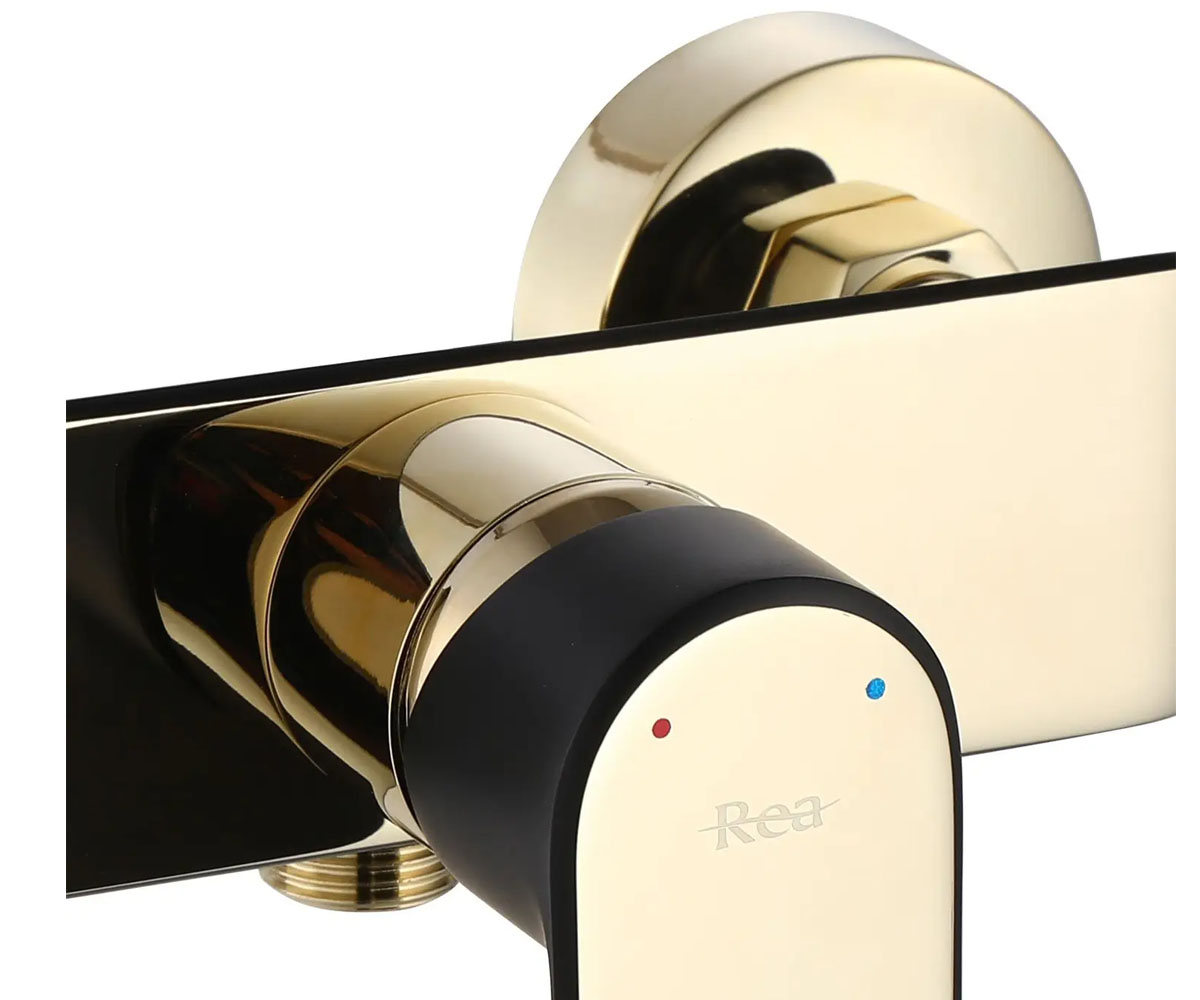 Смеситель с душевым набором  BLOOM REA-B9938:Фото 3