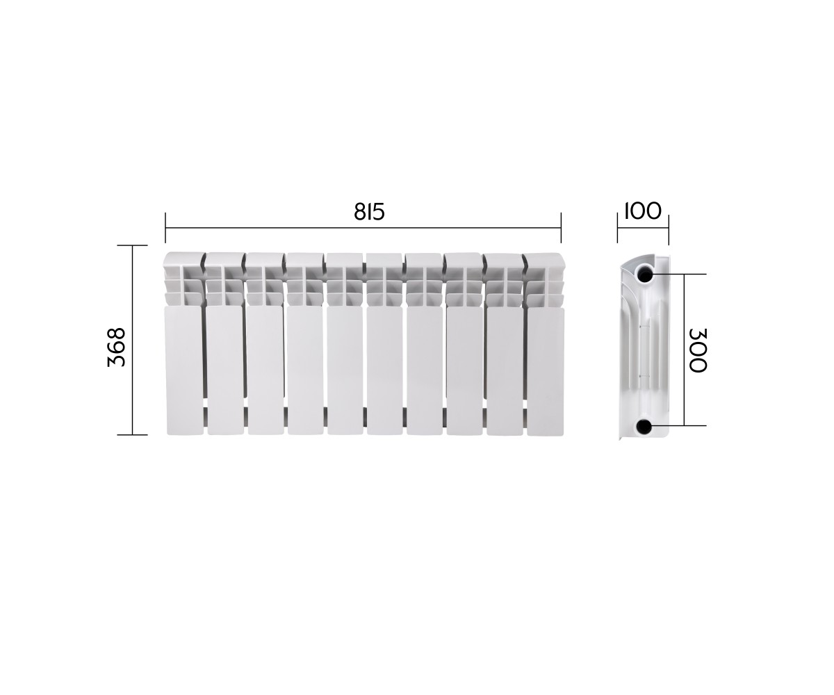 Радиатор биметаллический Thermo Alliance Bi-Ferrum 300/100 1,15 кг  F300100B:Чертеж 